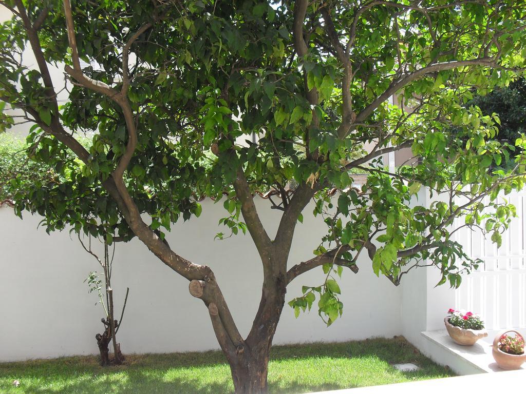 Casa Santolina B&B Rome Exterior photo